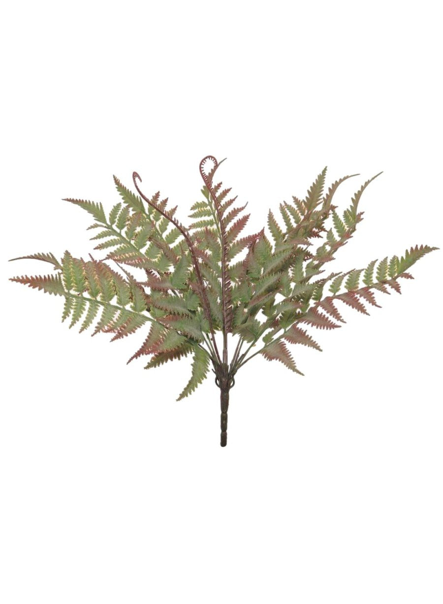 Regal Red Fern Bunch