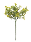 Nagi Leaf Bunch