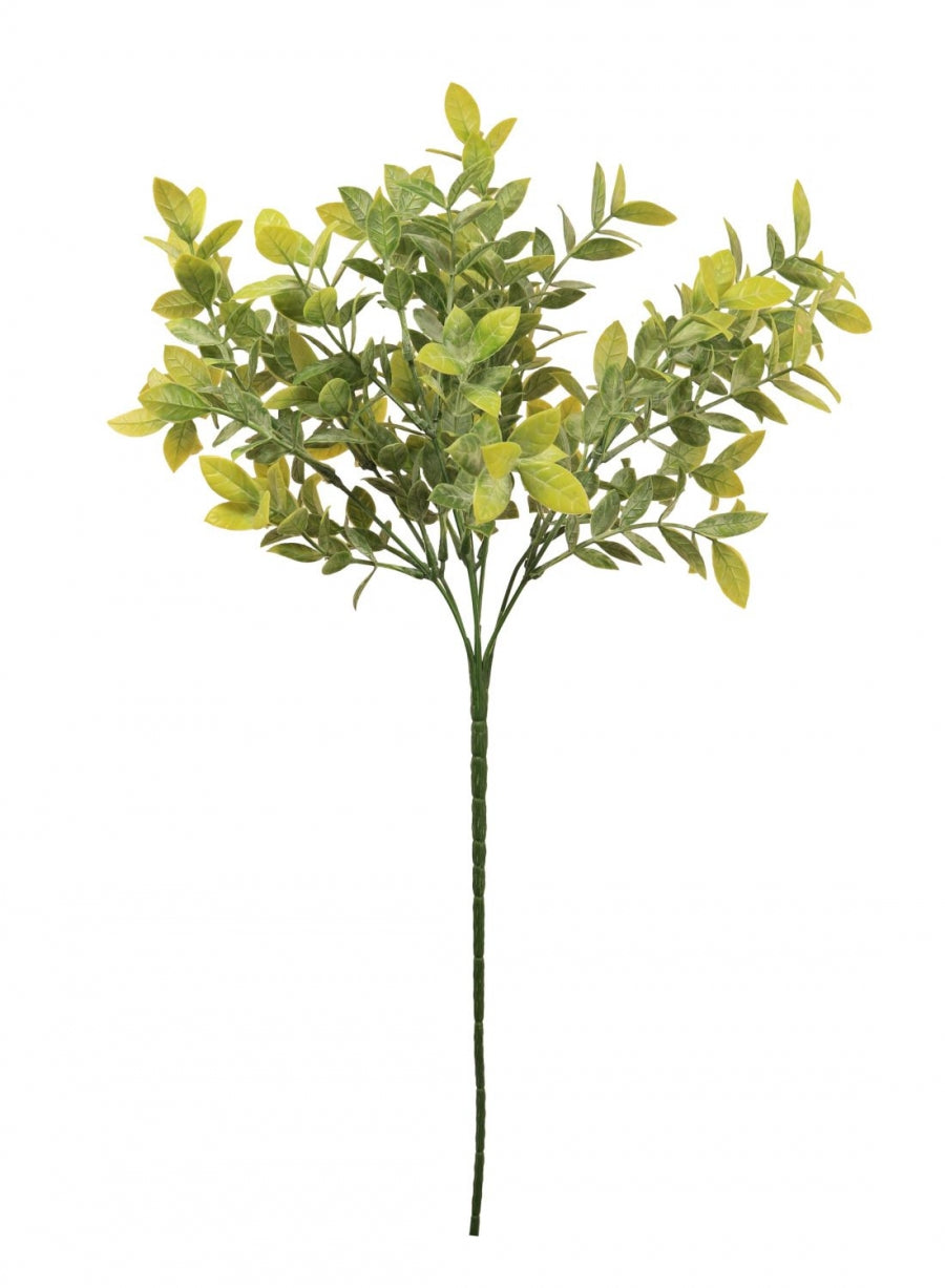 Nagi Leaf Bunch
