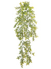 Trailing Nagi Leaf