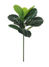 Tropical Ficus Plant (large)
