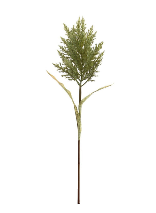 Feathered Astilbe (large)