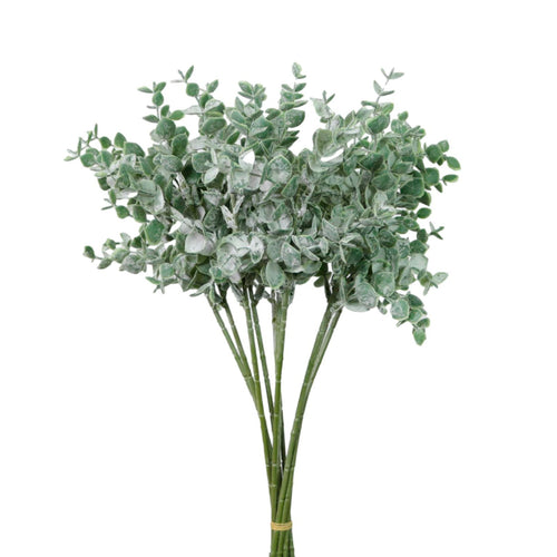 Mini Euc Sprig (10x Sprigs)