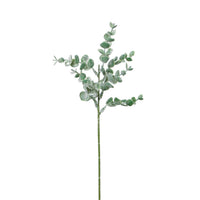 Mini Euc Sprig (10x Sprigs)