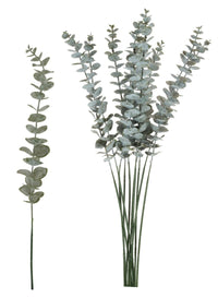 Dusted Euc Spray (10x Stems)
