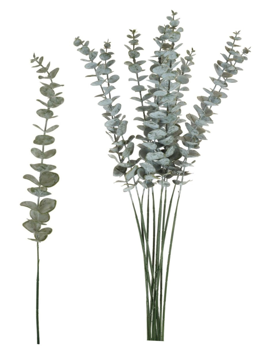 Dusted Euc Spray (10x Stems)