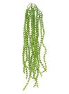 Trailing Vine Leaf