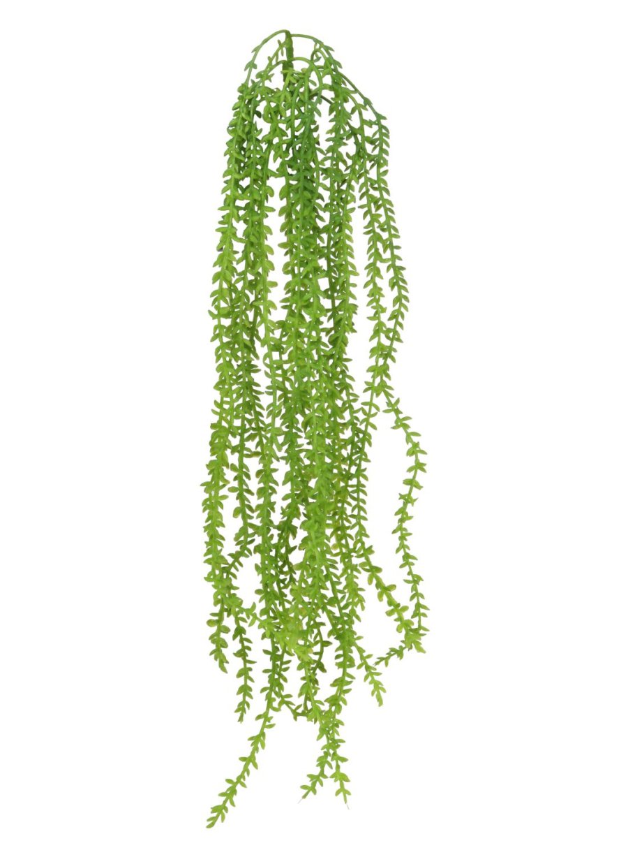 Trailing Vine Leaf