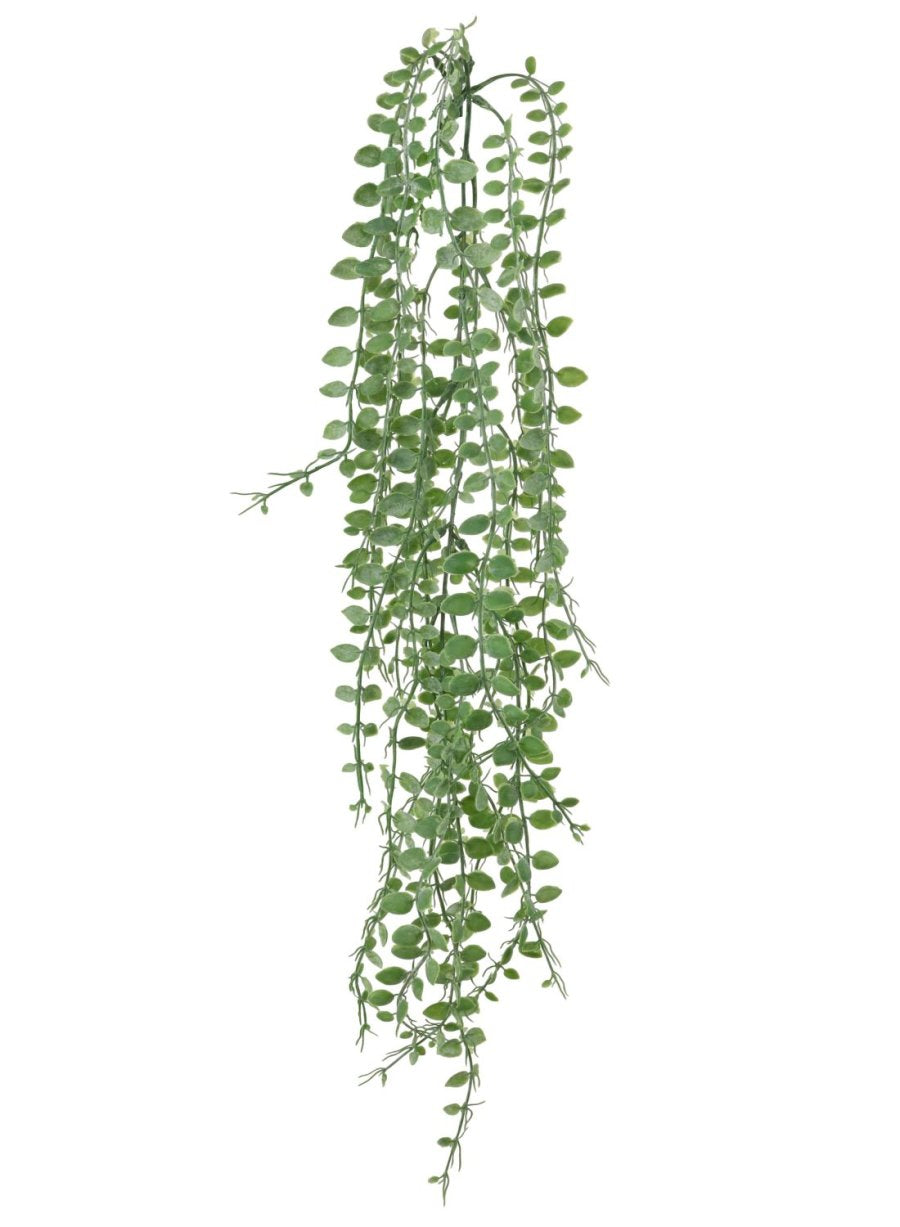 Trailing Ruby Cascade