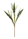 Dried Reed Wheat Spray