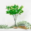 Viburnum Leaf Stem