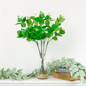 Viburnum Leaf Stem