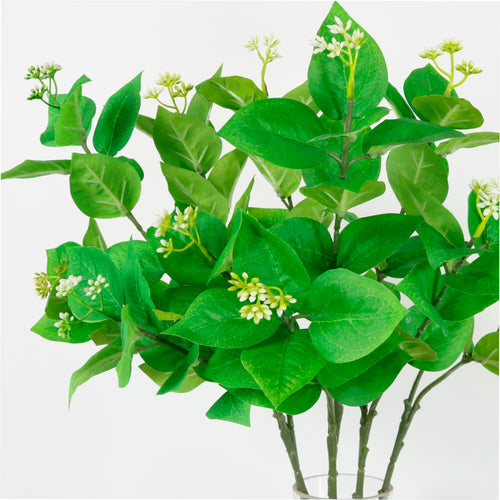 Viburnum Leaf Stem