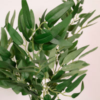 Soft Ruscus Leaf Spray