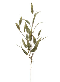 Dried Touch Slim Leaf Branch