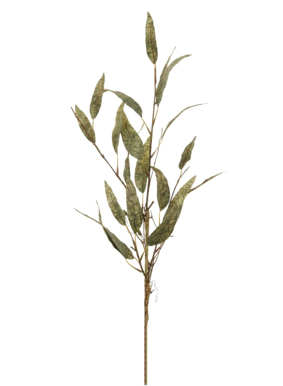 Dried Touch Slim Leaf Branch