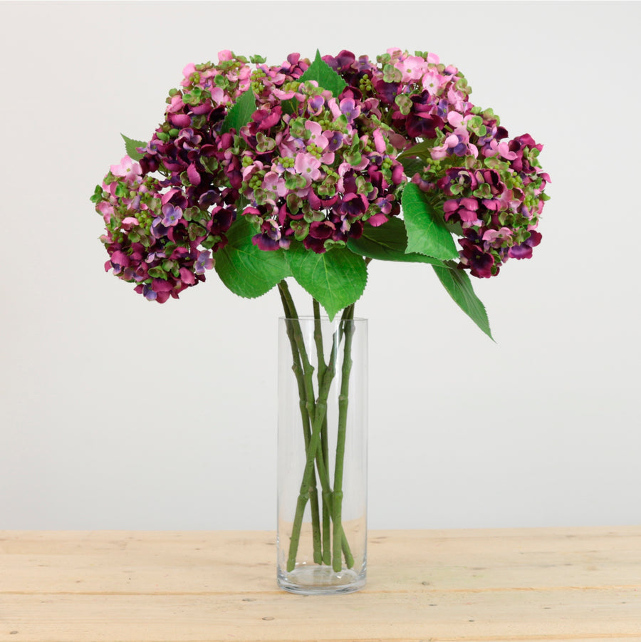 Imperial Hydrangea Stem
