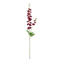 Slim Stock (delphinium)