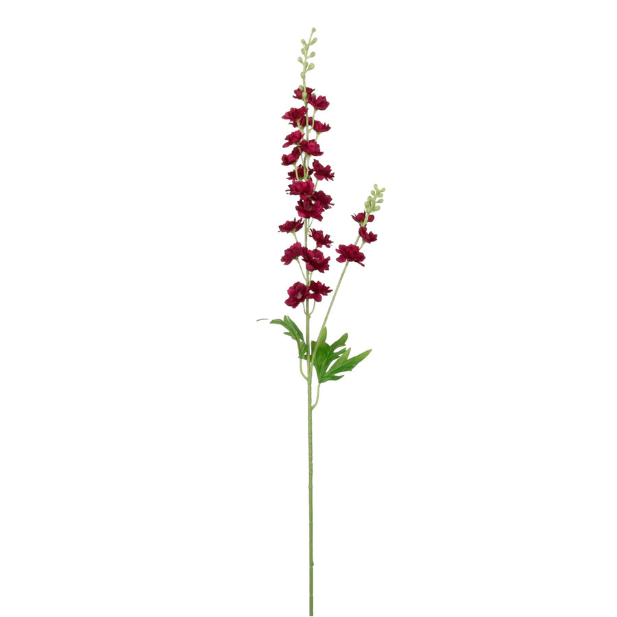 Slim Stock (delphinium)