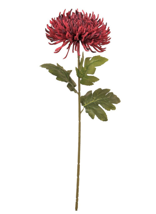Fuji Mum