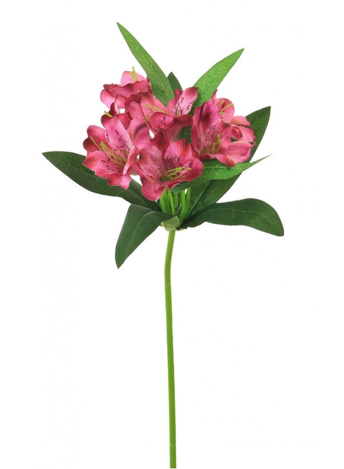 Alstroemeria (small)