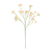Fluffy Gypsophilia Spray