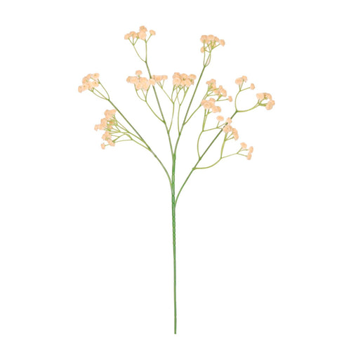 Fluffy Gypsophilia Spray