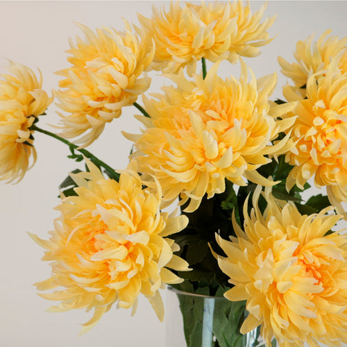 Spikey Mum Flower
