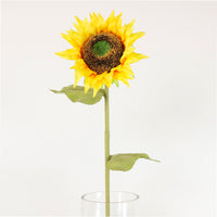 Sunflower Stem (large)