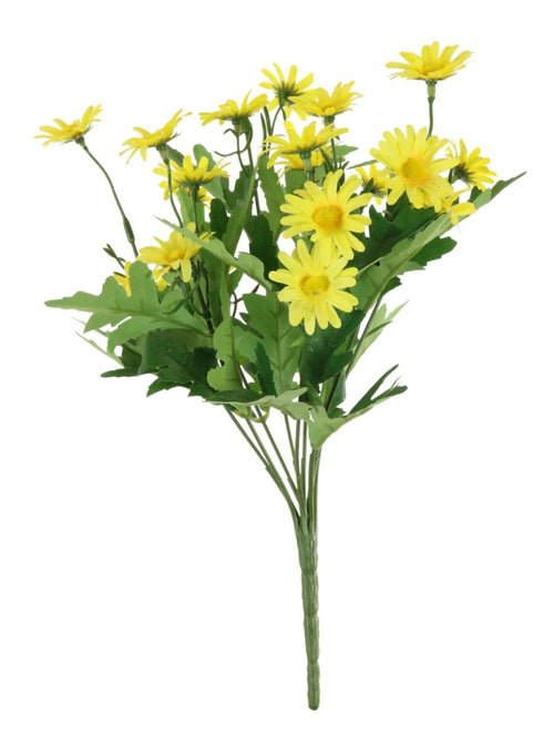 Oxeye Daisy Bunch
