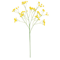 Fluffy Gypsophilia Spray