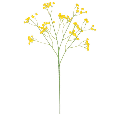Fluffy Gypsophilia Spray
