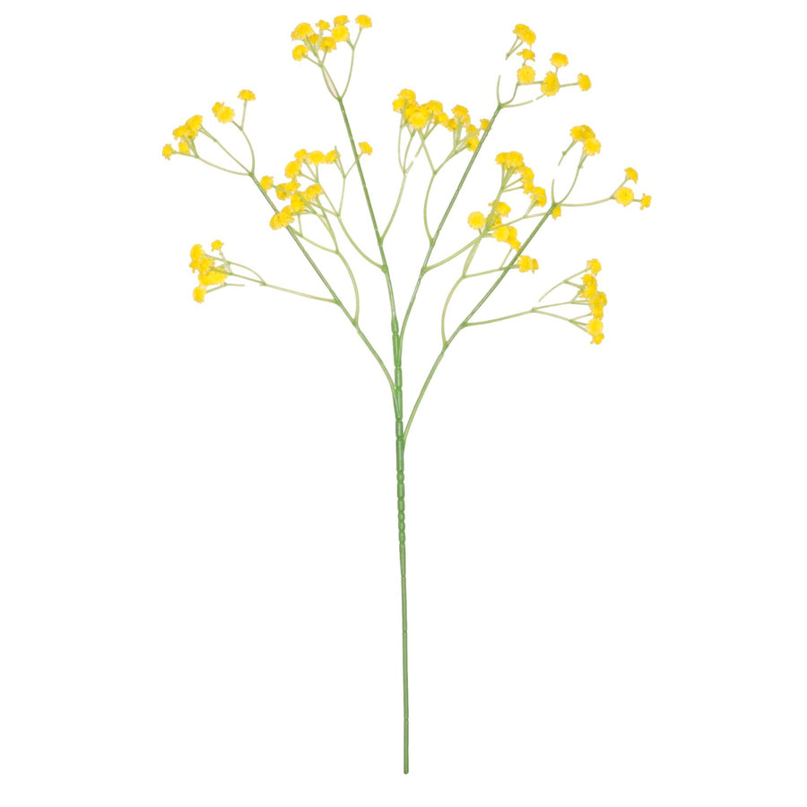 Fluffy Gypsophilia Spray
