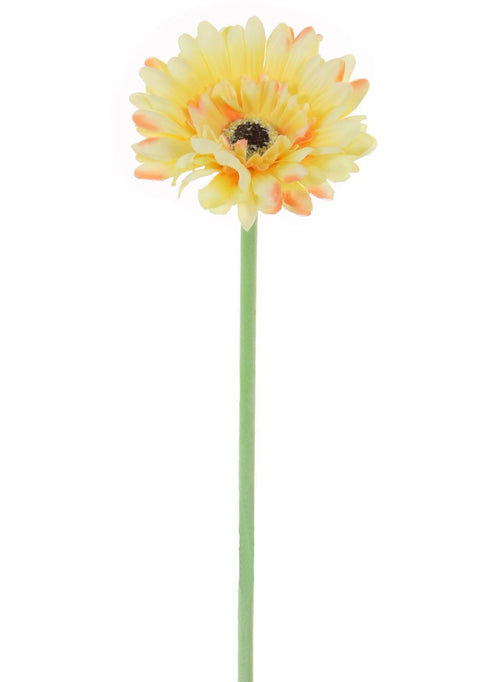 Small Gerbera Stem