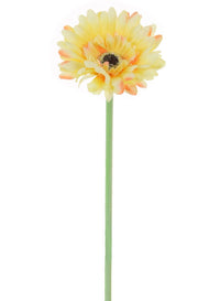 Small Gerbera Stem