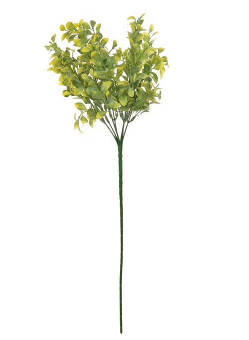 Mini Hedge Bunch