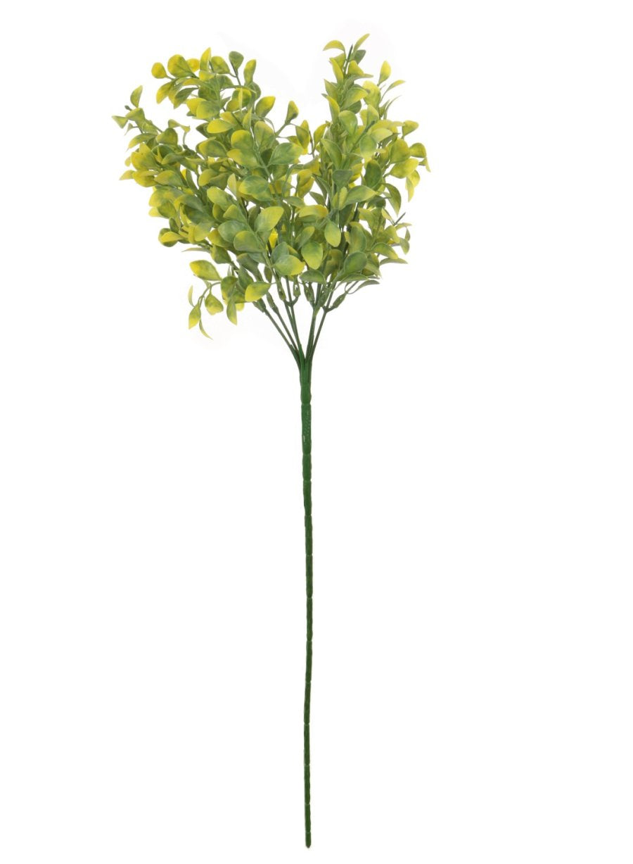 Mini Hedge Bunch