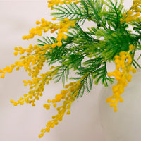 Mimosa Spray (Small)