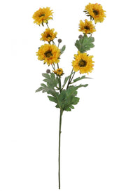 Wild Gerbera Spray