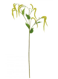 Catkin Spray