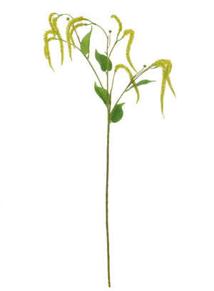 Catkin Spray