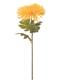 Fuji Mum