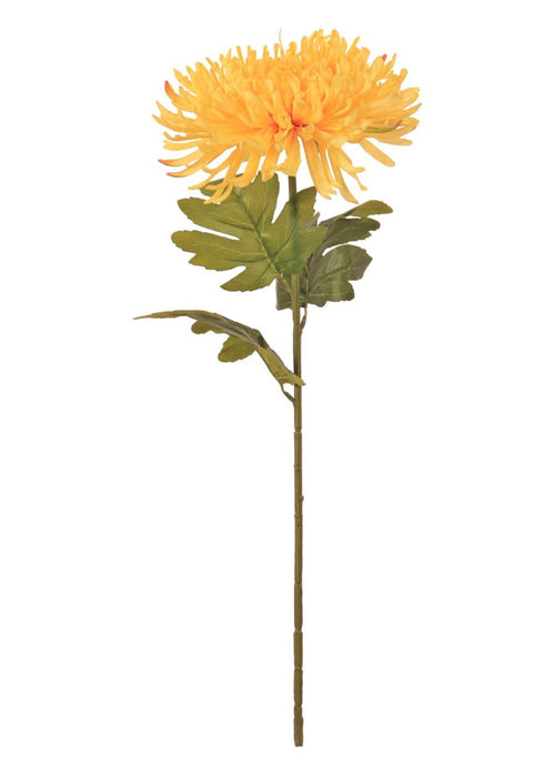 Fuji Mum