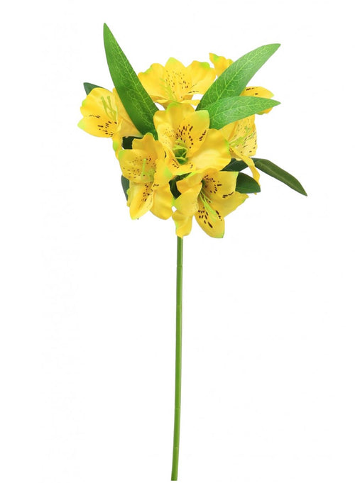 Alstroemeria (small)