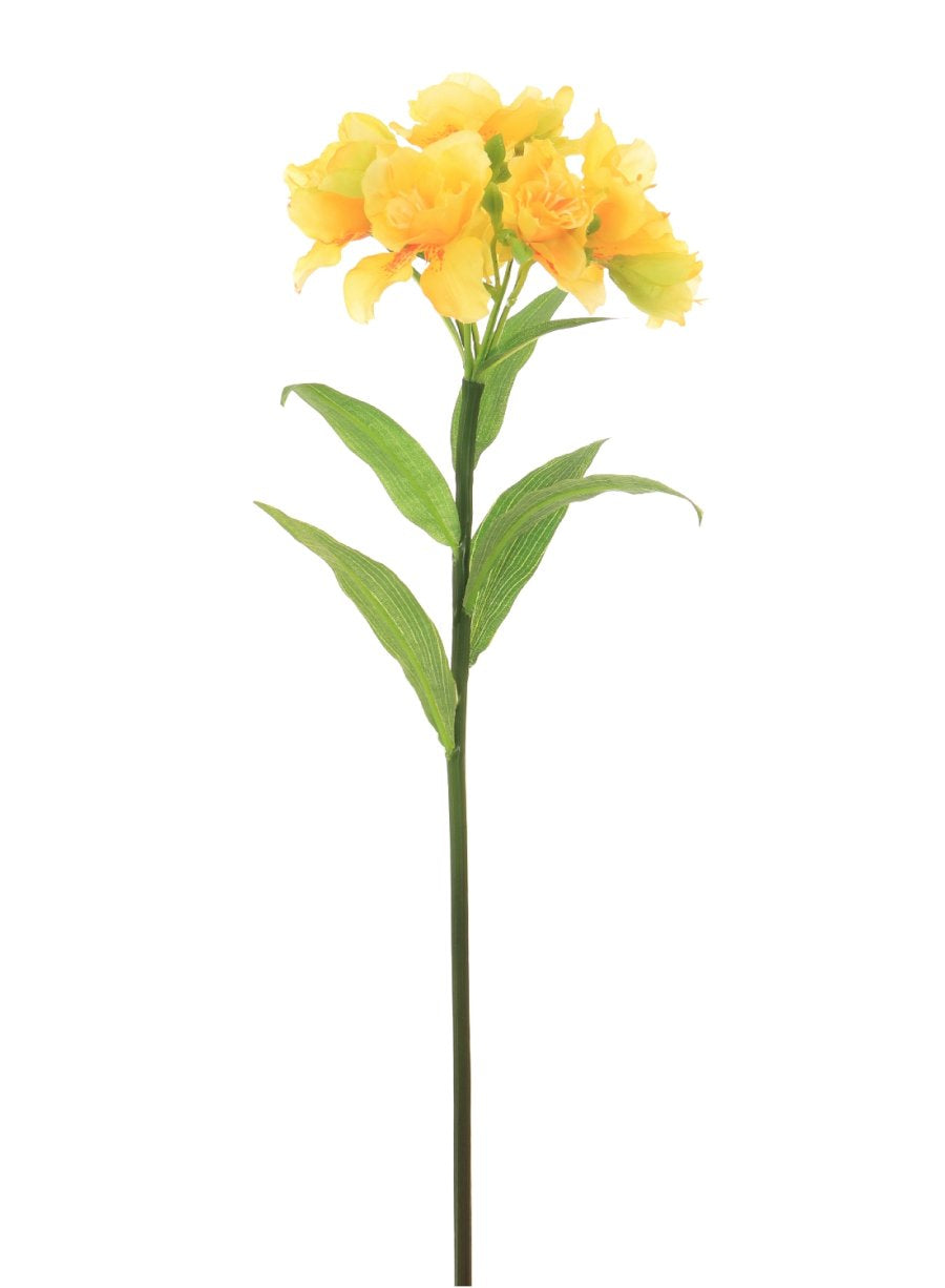 Alstroemeria (premium)