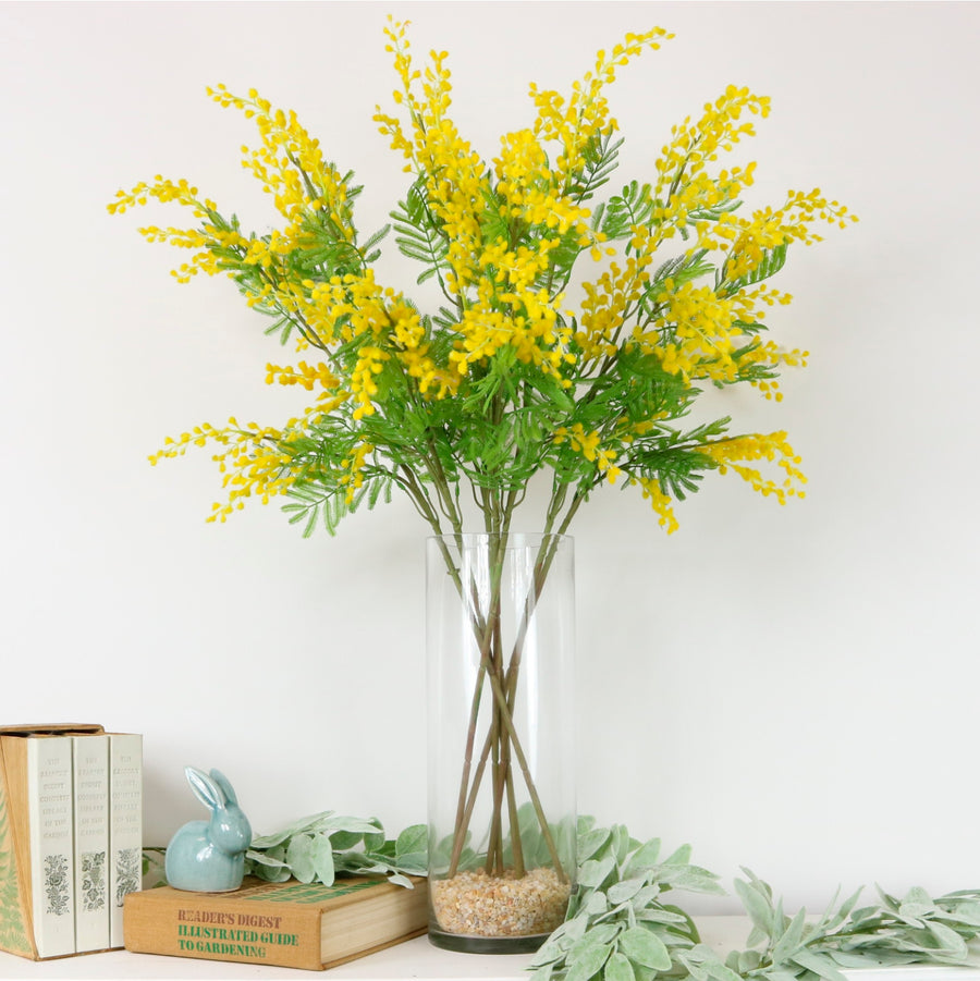 Mimosa Spray (large)