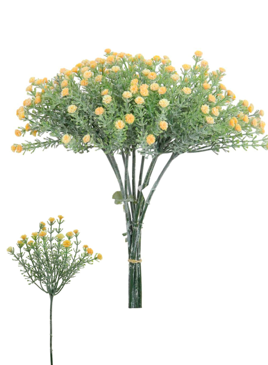Wild Gypsophilia (10 stems)