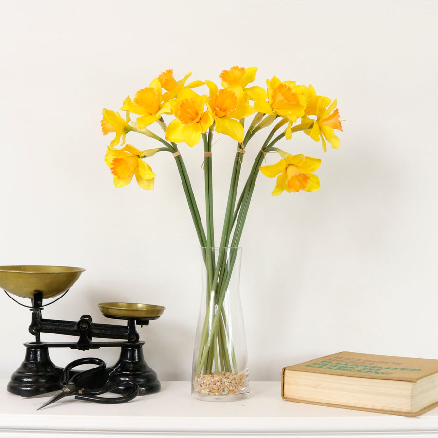 Spring Daffodil Bunch (3x Stems)