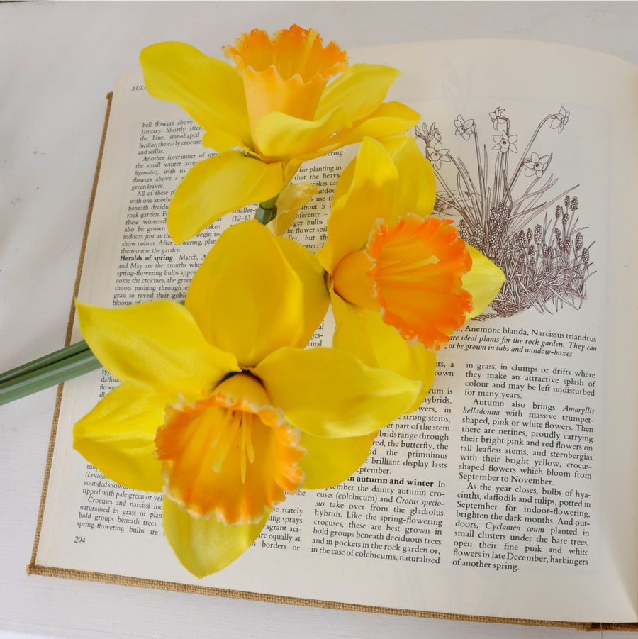 Spring Daffodil Bunch (3x Stems)