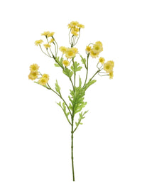 Wild Mini Daisy Spray